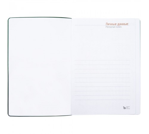 Ежедневник Flexpen Color, датированный, зеленый