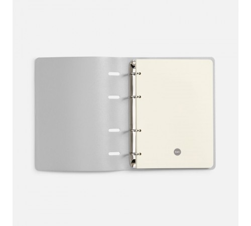 Ежедневник Ringo, недатированный, серебристый