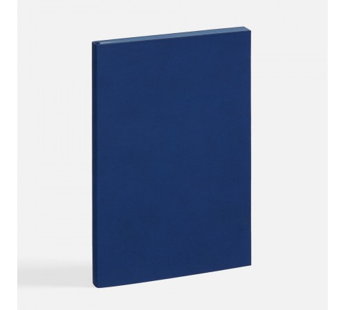 Ежедневник Flat, недатированный, синий, ver.2