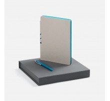 Набор Flexpen Grey, бирюзовый