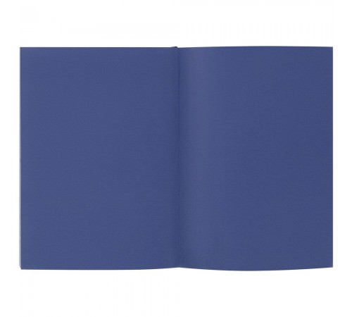 Ежедневник Flat Maxi, недатированный, синий