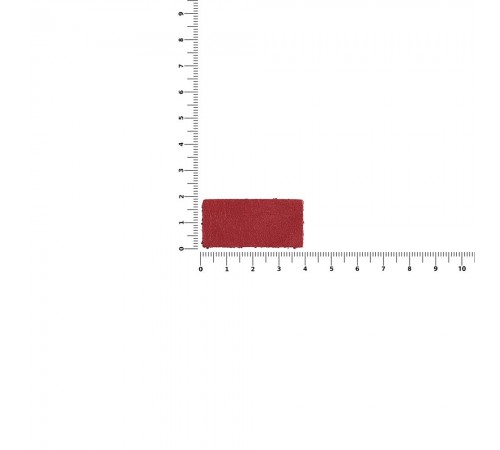 Лейбл кожаный Pasek, XS, красный