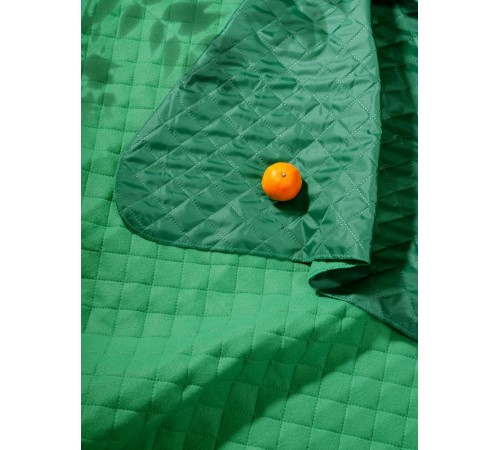 Плед для пикника Soft & Dry, зеленый