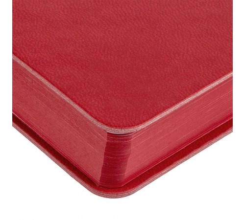 Ежедневник Flexpen Color, датированный, красный