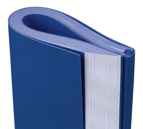 Ежедневник Flat Maxi, недатированный, синий