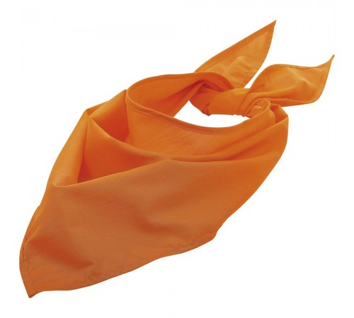 Шейный платок Bandana, оранжевый