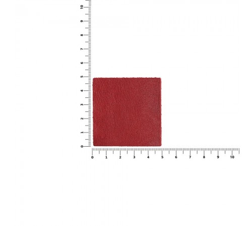 Лейбл кожаный Pasek, L, красный