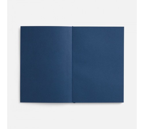 Ежедневник Flat, недатированный, синий, ver.2