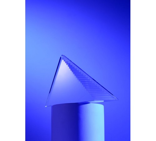 Стела Success Steps