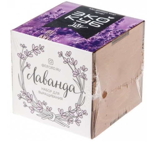 Набор для выращивания «Экокуб Lite», лаванда