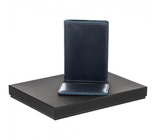 Набор inStream, синий