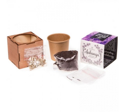 Набор для выращивания «Экокуб Lite», лаванда