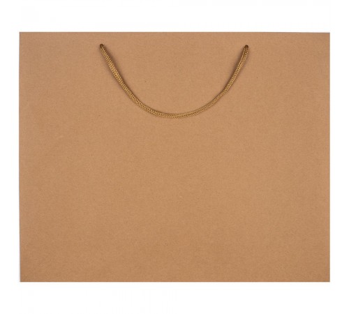 Пакет бумажный Plat L, крафт