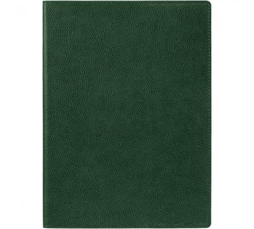 Ежедневник в суперобложке Brave Book, недатированный, зеленый