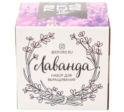 Набор для выращивания «Экокуб Lite», лаванда