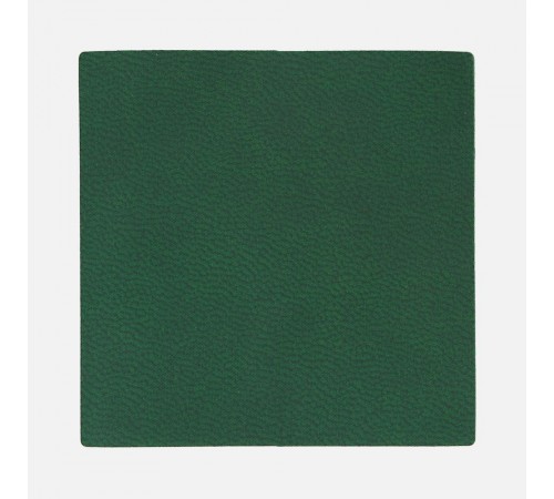 Лейбл Listra Latte, L, зеленый