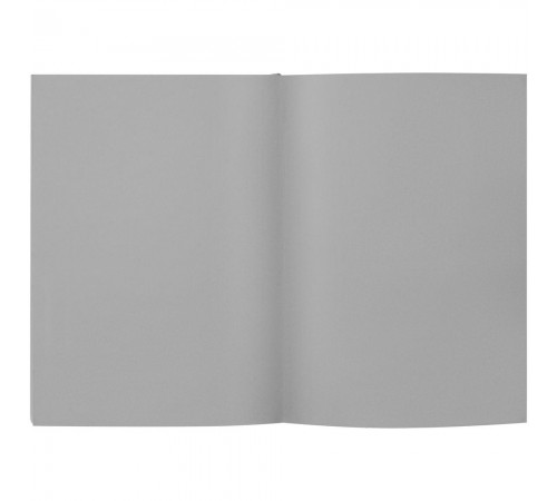 Ежедневник Flat, недатированный, темно-серый