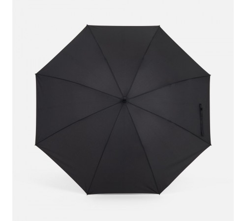 Зонт-трость Rainzee, черный