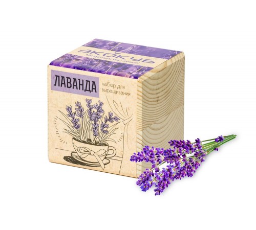 Набор для выращивания «Экокуб», лаванда