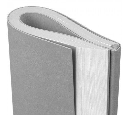 Ежедневник Flat Maxi, недатированный, серый