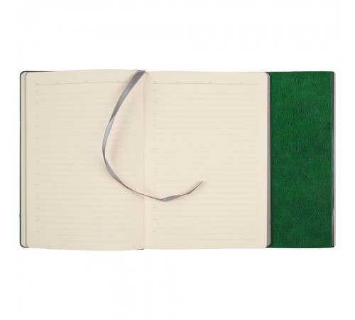 Ежедневник Petrus Flap, недатированный, зеленый