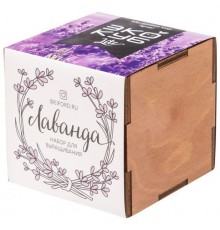 Набор для выращивания «Экокуб Lite», лаванда