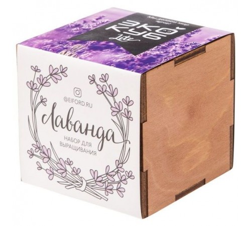 Набор для выращивания «Экокуб Lite», лаванда