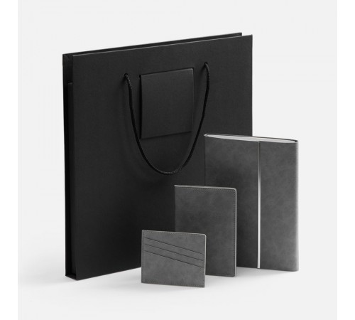 Набор Petrus Flap, серый