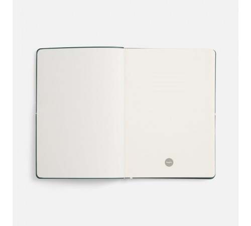 Ежедневник Kuka, недатированный, светло-зеленый