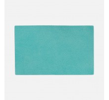 Лейбл Listra Latte, XL, бирюзовый