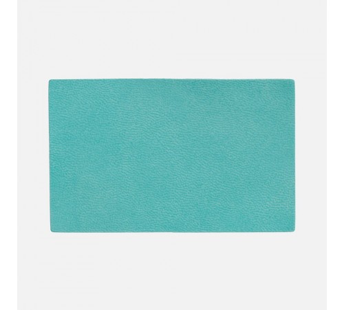 Лейбл Listra Latte, XL, бирюзовый