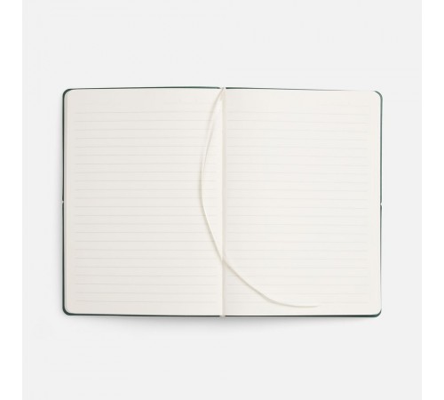 Ежедневник Kuka, недатированный, светло-зеленый