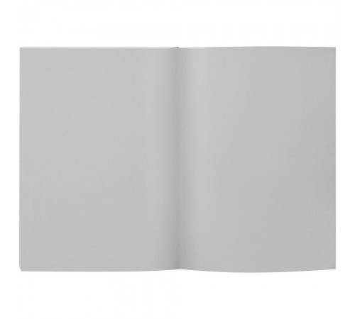 Ежедневник Flat Maxi, недатированный, серый