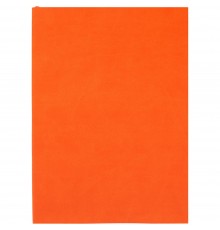 Ежедневник Flat Light, недатированный, оранжевый