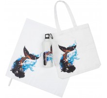 Набор «Гиганты Вселенной»