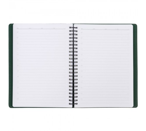 Ежедневник Spring Shall, недатированный, зеленый