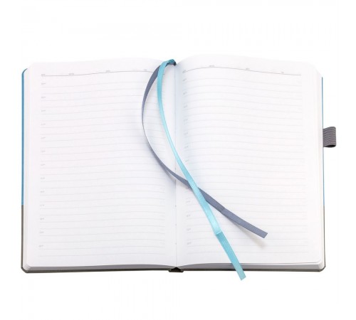 Ежедневник Horizon, недатированный, серый с голубым