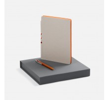 Набор Flexpen Grey, оранжевый