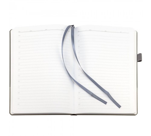 Ежедневник Horizon, недатированный, серый