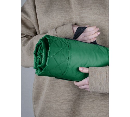 Плед для пикника Comfy, зеленый Плед для пикника Comfy, зеленый