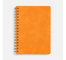 Ежедневник Spiral, недатированный, оранжевый