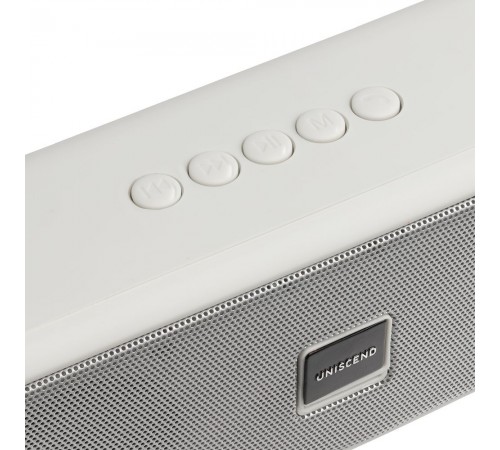Беспроводная стереоколонка Uniscend Roombox, светло-серая