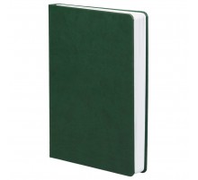 Ежедневник Basis, датированный, зеленый