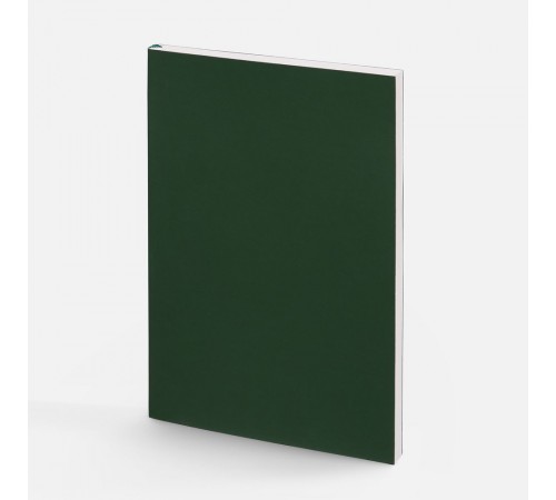 Ежедневник Flat Light ver.2, недатированный, зеленый