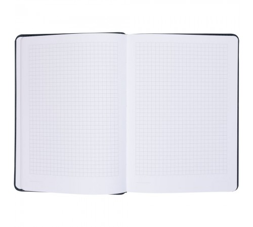 Ежедневник Termini, недатированный, синий