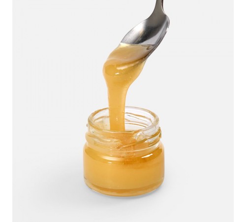 Мед Colmena, донниковый