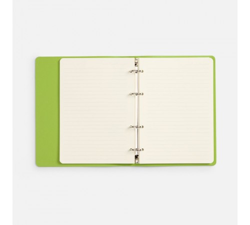 Ежедневник Ringo, недатированный, зеленый