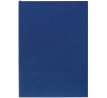 Ежедневник Flat Light, недатированный, синий