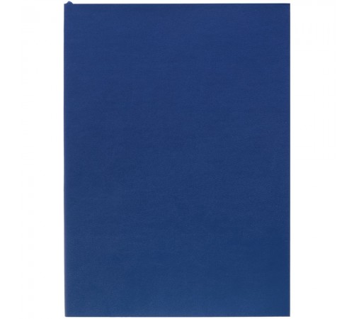 Ежедневник Flat Light, недатированный, синий