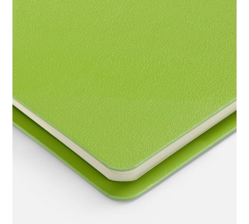 Ежедневник Ringo, недатированный, зеленый